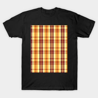 Sunset and Sunrise Aesthetic Aillith 2 Hand Drawn Textured Plaid Pattern T-Shirt